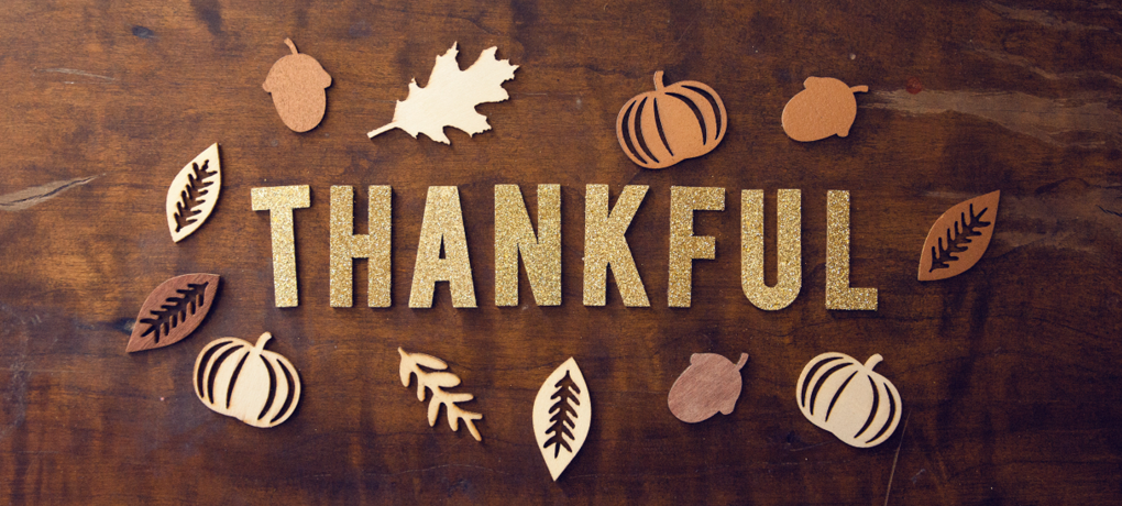 To you, our Sound Stewardship family, Happy Thanksgiving! 